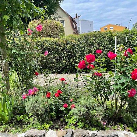 Fewo Apartment Lake Of Constance Фрідріхсгафен Екстер'єр фото